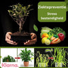HealthySoil™ - Groeivoeding - Geeft bloemen en planten meer vitaminen voor een gezondere groei